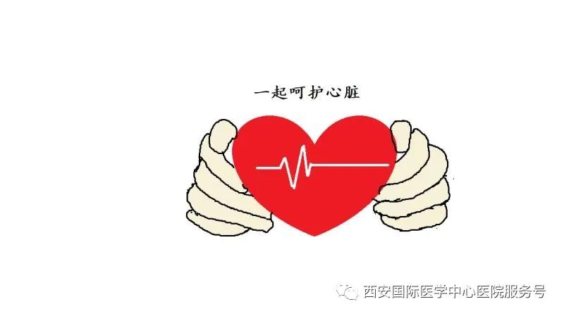【科普】呵護(hù)心臟，從現(xiàn)在做起