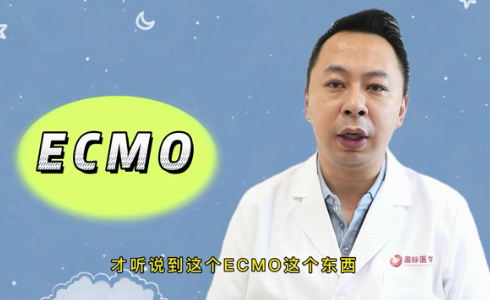 什么是ECMO？