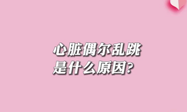 【名醫(yī)面對面之心臟100問】心臟偶爾亂跳是什么原因？