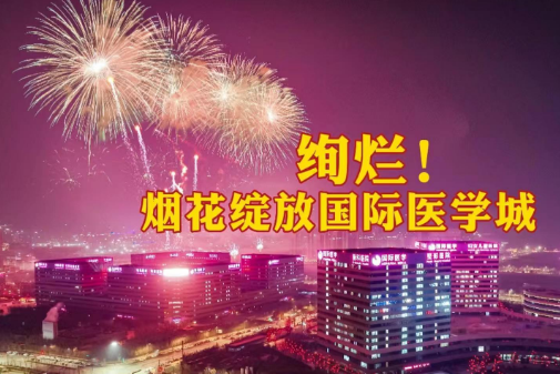 絢爛！煙花綻放國際醫(yī)學(xué)城